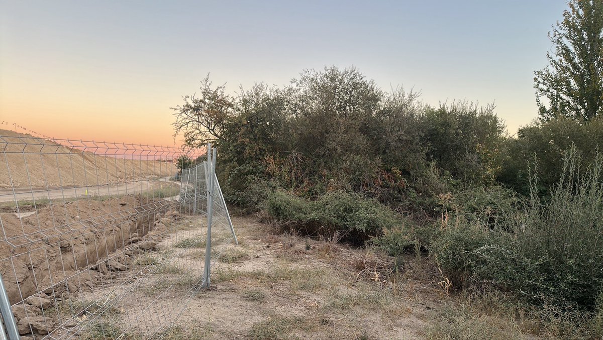vic_thor82's tweet photo. @chtajo eso de la izquierda es un arroyo de vuestra CH y en @sansecomunica San Sebastián de los Reyes el @CerroDelBaile_ acaba de cavar una zanja en todo su cauce.
Por qué una instalación FV no puede montarse a menos de 40 metros del cauce pero esta gente lo puede destruir? https://t.co/Kkjdd6t2q9