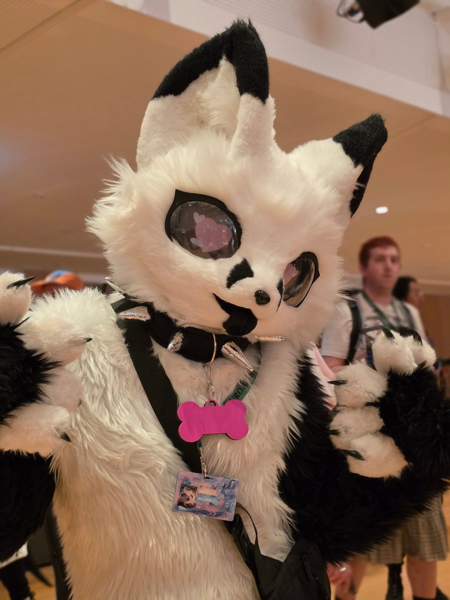 Vora_Vixen's tweet photo. #Fursuitfriday #ef30
Photo by kizuna! https://t.co/lsn3laNQPH