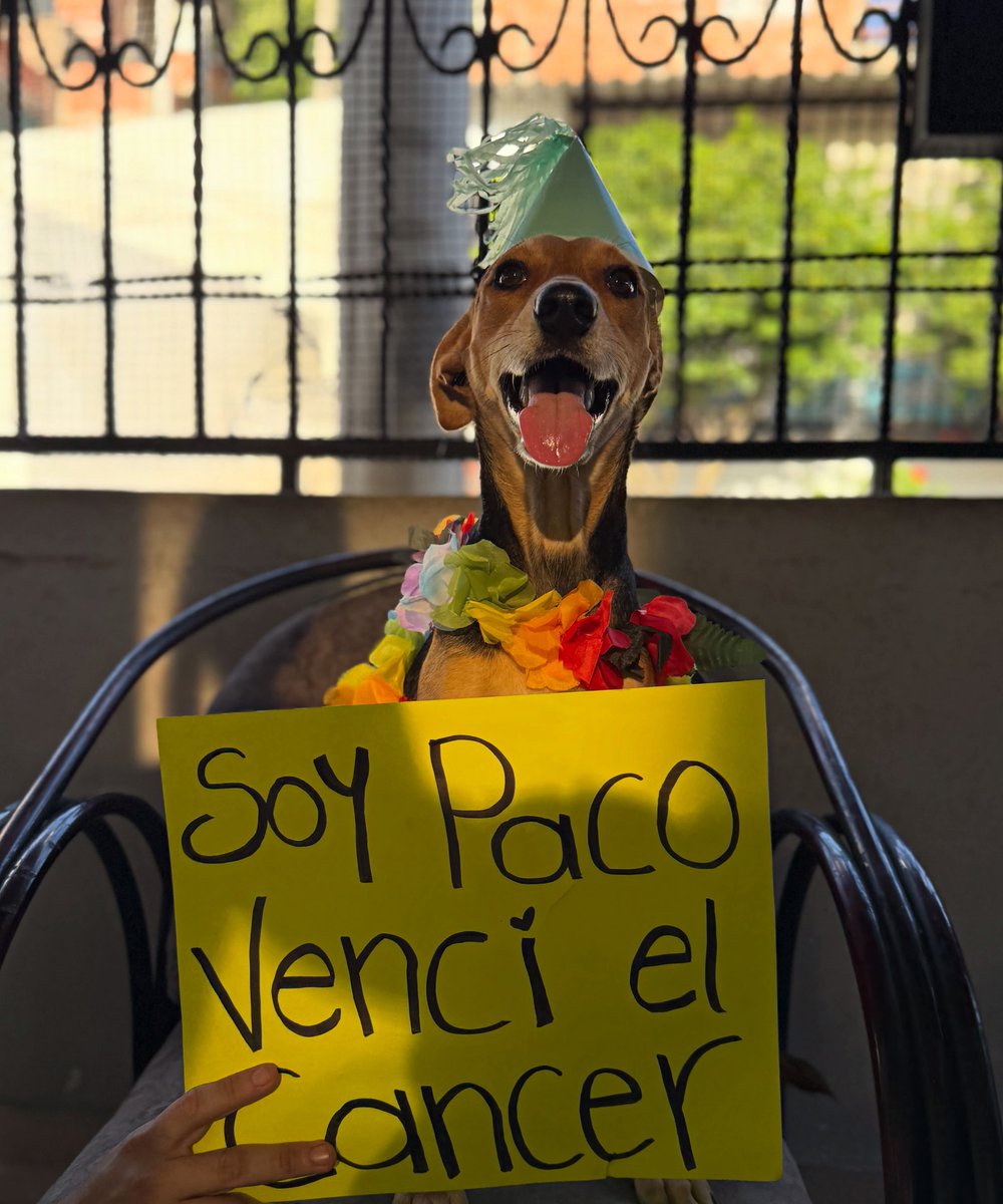 En_jupiter_'s tweet photo. Te quiero mucho paco https://t.co/RnhGpCpqga