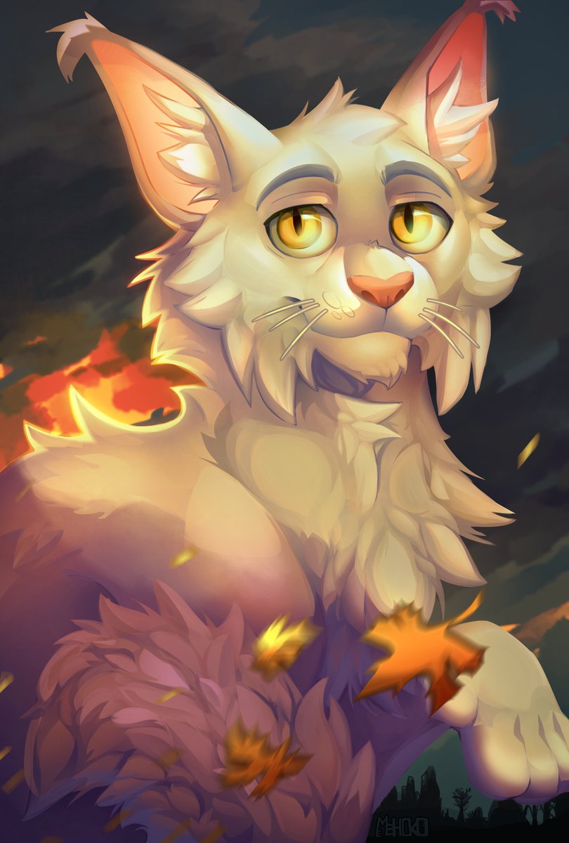 mehoko_art's tweet photo. Whitestorm 🌪️
#warriors #warriorcats #whitestorm https://t.co/avApwpGWrR