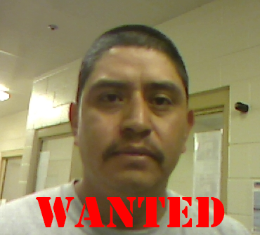 ERODenver's tweet photo. ICE Denver issued a detainer for Jose Sanchez-Cisneros a criminal alien from Mex. to Adams Co. He was arrested Sept. 6 for DUI &amp; has previous arrests for poss. cocaine assault, kidnapping &amp; multiple DUI's. Adams Co. did not honor the detainer, if seen: https://t.co/L5b1uG7QiU https://t.co/h4cjFi6e6U