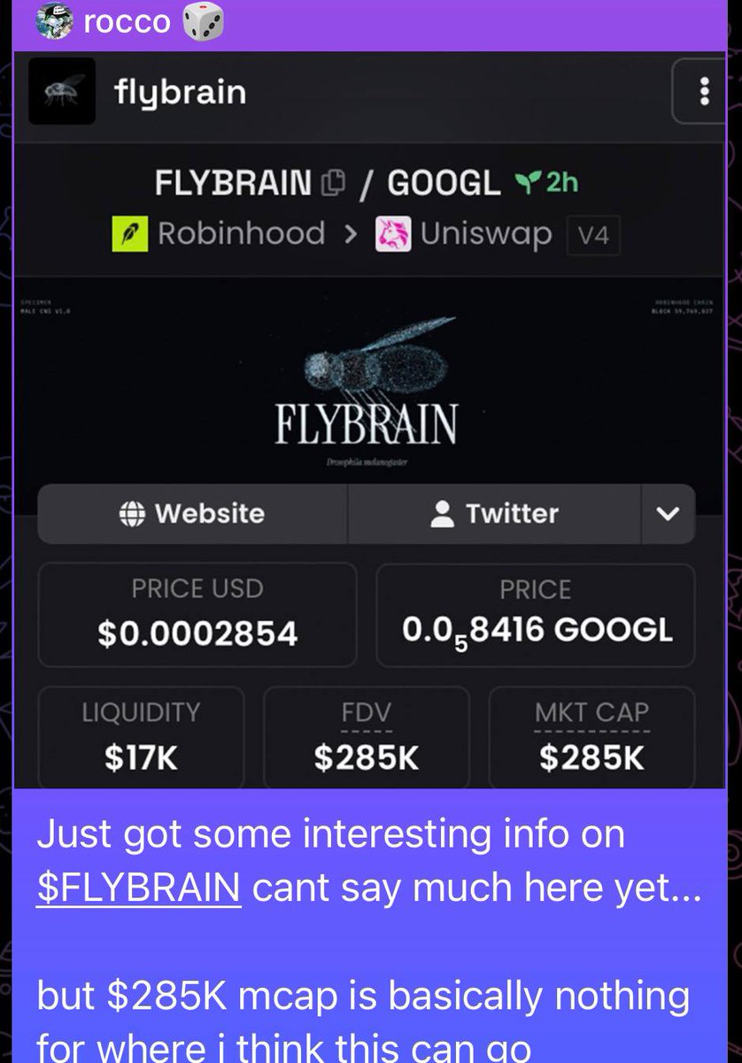 roccodegen's tweet photo. i called $FLYBRAIN in my private group around a $285K market cap

everyone in there got the move

thats the real advantage in this market when you get the info early, you dont have to chase after the whole timeline already sees it, youre already in!

been thinking about opening a new group for everyone following me here...

might be time👀