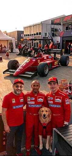 JUANPEPESA's tweet photo. Jajaja i love sir lewis....
@LewisHamilton https://t.co/LDqofdBXkY