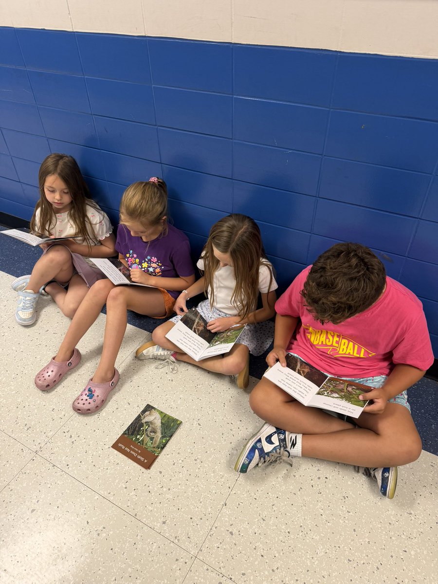 MrsIngram2nd's tweet photo. Reading our decodable texts in small groups 📚 https://t.co/Pz5HNdam51