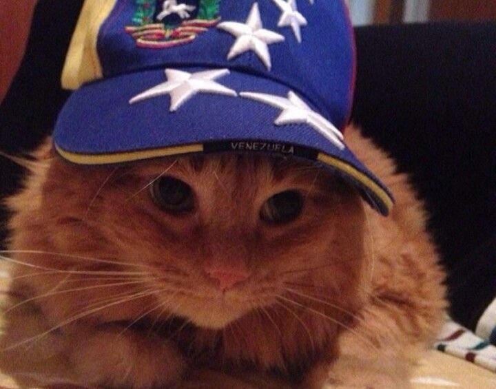VenezuelaYumes's tweet photo. ⋆.˚𖦹⋆✮⋆.˚ 💛💙❤️ ⋆.˚𖦹⋆✮⋆.˚

Hola!!! Somos @VenezuelaYumes, una cuenta para yumes enfocada en cultura y gente Venezolana, pero todo el mundo puede participar y seguirnos! Sientense cómodos y disfruten :)

- 🥪 https://t.co/9AfOOPGvaS