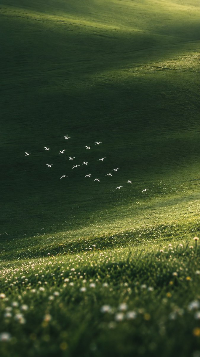 cozyycabin's tweet photo. soft days in green https://t.co/7Hcs1W8wZy