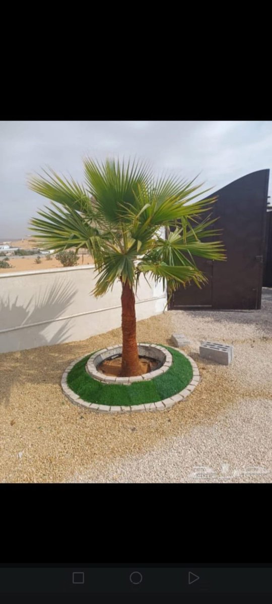 Aali20_30's tweet photo. #الاتحاد_الفيصلي https://t.co/Y4gXX0JwHE