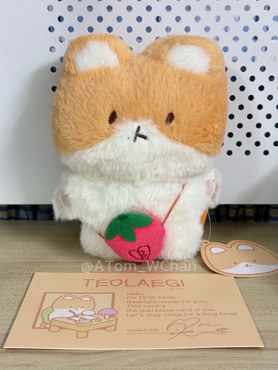 ATom_WChan's tweet photo. ส่งต่อน้องทอแรกี TEOLAEGI  20cm ใหม่มากกก ไม่เคยเล่นน้าา แกะออกมาถ่ายรูป แท็ก+กล่องครบ 🥰 1,200 รวมส่งค้าบ สนใจ dm ค่ะ

 #ตลาดนัดEXO #ขายของสะสมEXO 
#TEOLAEGI #터래기  #엑소양도 https://t.co/VKnn741hVq