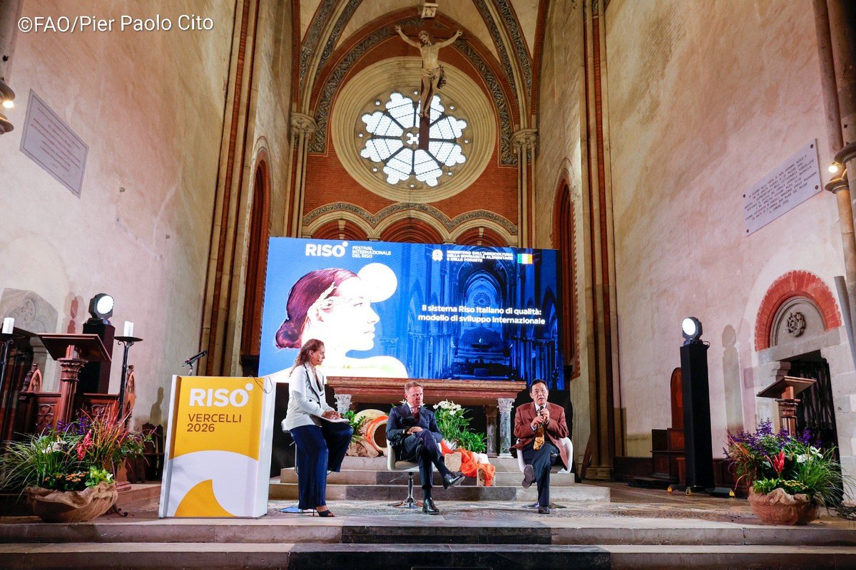 FAODG's tweet photo. Rice is a staple food for billions &amp; central to food security. At the International Conference on the Importance of Rice in the Context of Global Food Security in Vercelli, I called for more productive, resilient &amp; sustainable rice systems that sustain livelihoods. #4Betters https://t.co/GJKOFdG5Xl