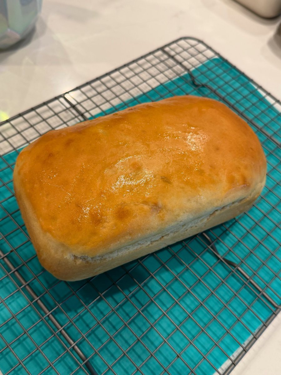 KaylarWill's tweet photo. Fall approaching means fresh baked sandwich bread &amp; I made the perfect loaf! https://t.co/buGaYxUEUn