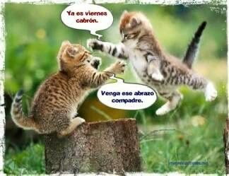 DstudiosInk's tweet photo. #vierne https://t.co/VHBRpDvjV5