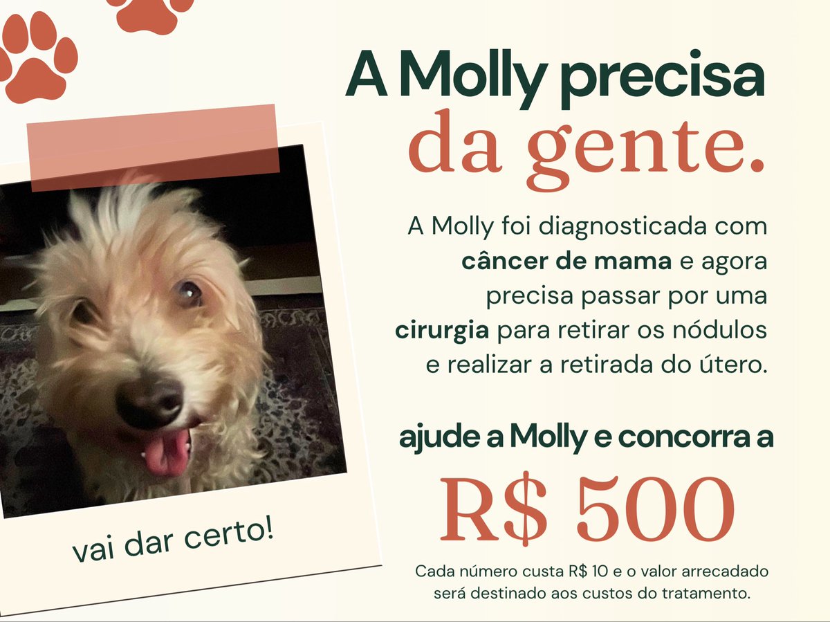 erispsycho's tweet photo. oi pessoal! 
vim aqui pedir uma suporte sobre a molly, minha companheira, minha amiga, que me ajuda sempre. e agora ela precisa de apoio, preparei um site pra conseguir arrecadar o valor do tratamento dela!
https://t.co/0hG8cxjCXh https://t.co/qdCoLmjimw