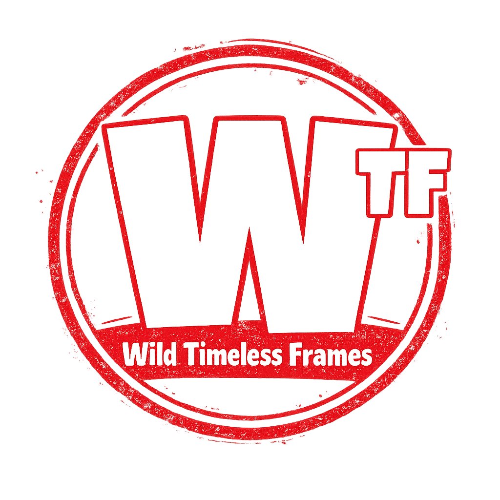 wildtimeless's tweet photo. Odisha Through Timeless Frames. 🌿 
This is Wild Timeless Frames.
Wild by Heart. Timeless by Frame.
We create everything in Odisha 
Content • Photography • Films • Brands • People • Culture • Places. 
No filters. Raw Odisha, captured timeless.  Based in Bhubaneswar https://t.co/H0DkwCb2ED