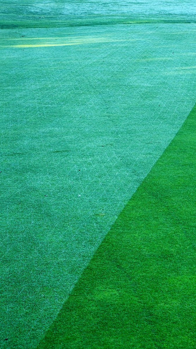 T2GBentgrass tweet picture