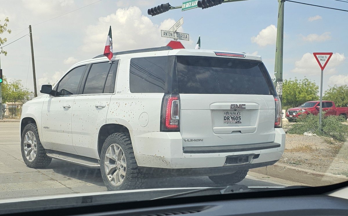 yosoypaulinav's tweet photo. Muy bonitas las banderas mexicanas 🇲🇽 de tu carro, y las placas mexicanas para cuando? https://t.co/QPhTLIbYPR
