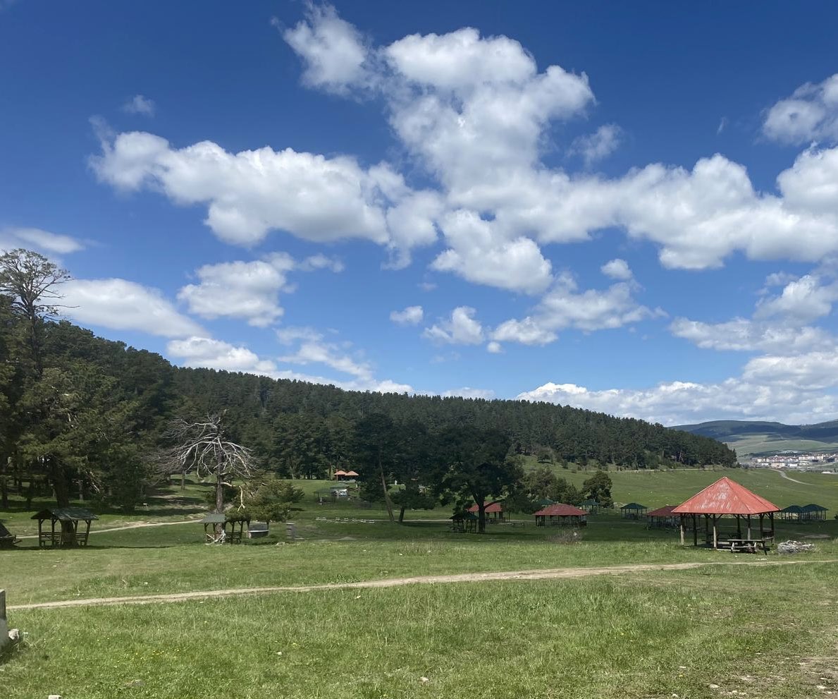 ziyapolat73's tweet photo. Soğuksu Tabiat Parkı 🌲🌳

#Sarıkamış 📍

#ŞimdiKarsZamanı https://t.co/TrBsIQd5f6