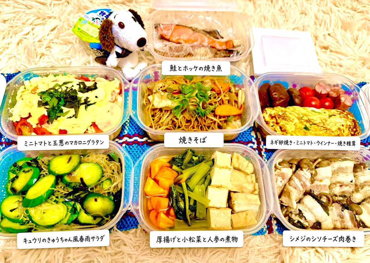 2日分なんだけど作り過ぎた、、🍱 食べる量考えて作れるようになりたい！ 作ってから時間経って撮ったから美味しそうに写せなかった… でもどれも美味しかったな( ˶'ᵕ'˶)♡ #おうちごはん #作り置き