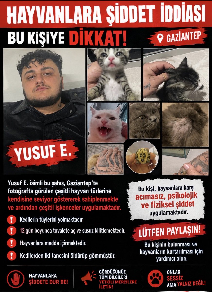 xxxxdhe1's tweet photo. @srkntrkc LÜTFEN YAYALIM GÖRSELDEKİ KEDİ İŞLENCE EDİLEREK ÖLDÜRÜLDÜ ŞAHIS HAYVANLARA YASAKLI
MADDE İÇİRİP TÜYLERİNİ YOLARAK
AÇ BIRAKIP İŞKENCE EDİYOR
GAZIANTEP https://t.co/5evg38ADXN