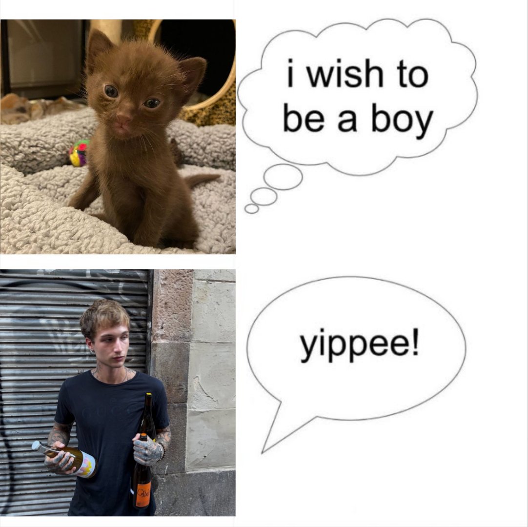 whinesgurls's tweet photo. @H3R0NSTAIRS @ivwnntill @loustatson @jsloustype i wish to be a boy @punksgrant yippee! https://t.co/uXZ38UKaPe