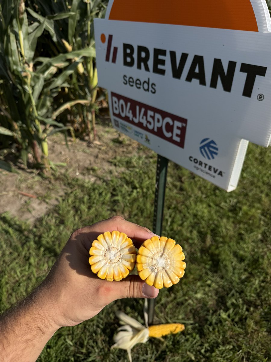meyerfarms5's tweet photo. Wrapping up a fun summer in Eastern Iowa! https://t.co/QLkXirR2vy