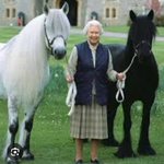 Photo by Sandra B. 🇬🇧 🏴󠁧󠁢󠁳󠁣󠁴󠁿 🇮🇱 💚💜🤍 (@SBHB66)