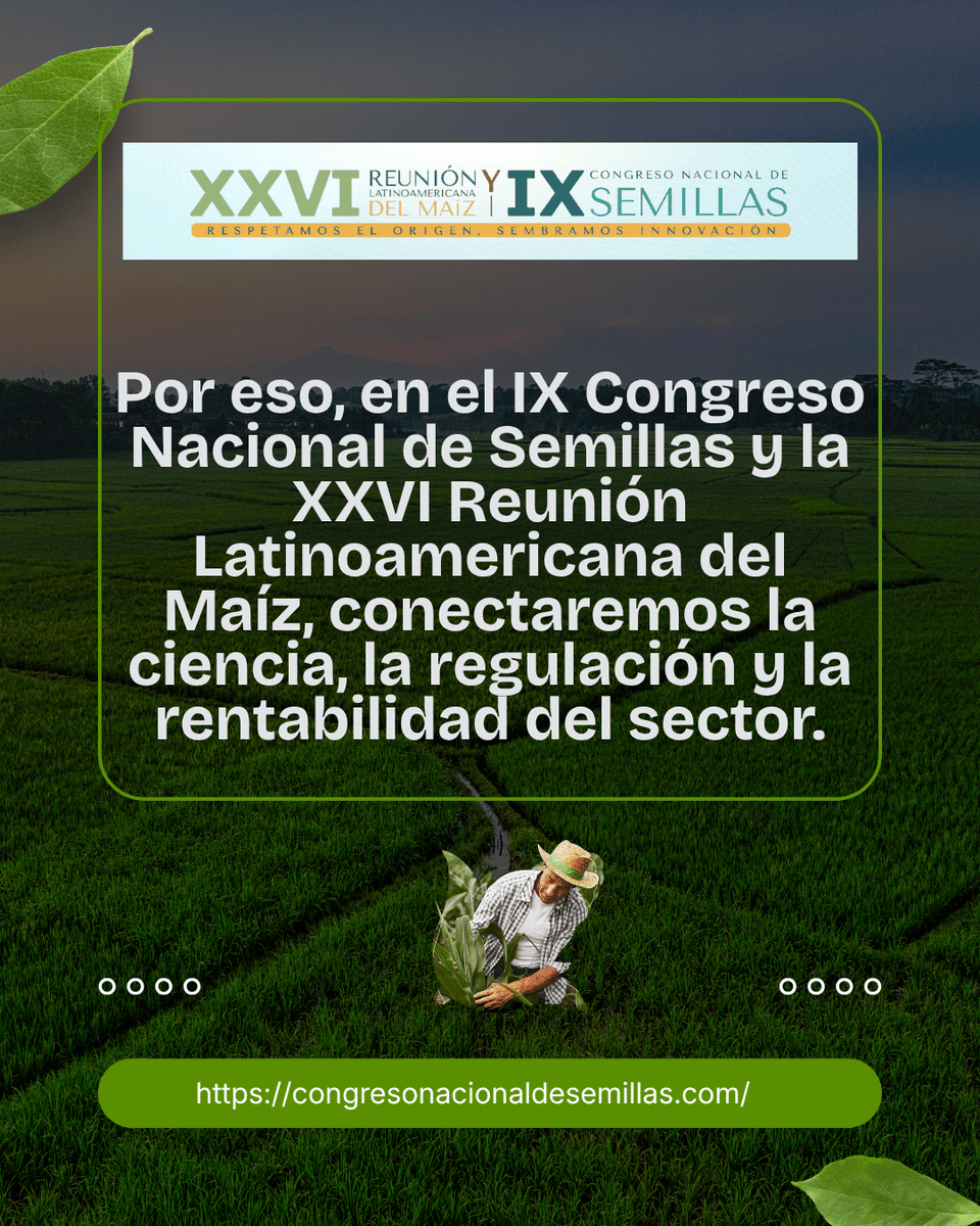 ACOSEMILLAS's tweet photo. #CongresoDeSemillasEnIbagué.- Del 5 al 6 de noviembre, la capital musical de Colombia se convertirá en el epicentro de la discusión técnica del agro latinoamericano.
El IX Congreso Nacional de Semillas y la XXVI Reunión Latinoamericana del Maíz reunirán a investigadores, empresas, asesores y productores para analizar los retos del mercado global y el desarrollo tecnológico que está transformando nuestros campos. 
Espacios de actualización de alto nivel y networking estratégico diseñados para quienes impulsan la cadena productiva, desde su raíz.

Conoce la agenda académica, los ejes temáticos y asegura tu cupo ingresando a https://t.co/04gqycjefC 

@LeoarizaR @ICACOLOMBIA @FENALCE @SemillasValleSA @semillashuila @AgroinsumosSas @JulioRamirezDu1