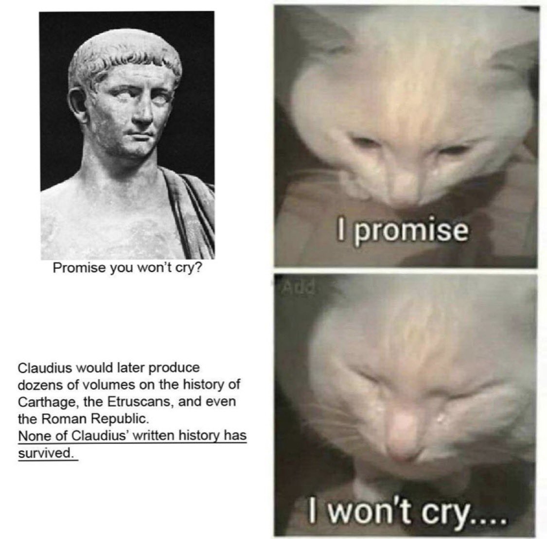 UpdatingOnRome's tweet photo. My eyes are not dry I promise you that. https://t.co/AT1pN0A8td