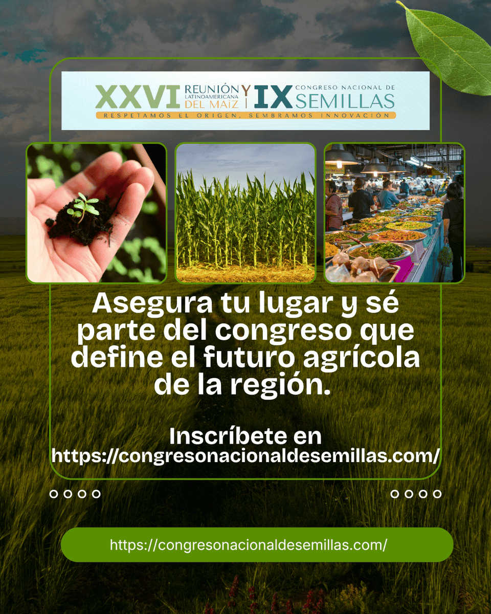 ACOSEMILLAS's tweet photo. #CongresoDeSemillasEnIbagué.- Del 5 al 6 de noviembre, la capital musical de Colombia se convertirá en el epicentro de la discusión técnica del agro latinoamericano.
El IX Congreso Nacional de Semillas y la XXVI Reunión Latinoamericana del Maíz reunirán a investigadores, empresas, asesores y productores para analizar los retos del mercado global y el desarrollo tecnológico que está transformando nuestros campos. 
Espacios de actualización de alto nivel y networking estratégico diseñados para quienes impulsan la cadena productiva, desde su raíz.

Conoce la agenda académica, los ejes temáticos y asegura tu cupo ingresando a https://t.co/04gqycjefC 

@LeoarizaR @ICACOLOMBIA @FENALCE @SemillasValleSA @semillashuila @AgroinsumosSas @JulioRamirezDu1