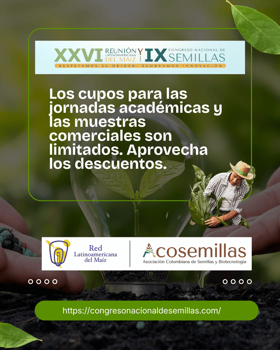 ACOSEMILLAS's tweet photo. #CongresoDeSemillasEnIbagué.- Del 5 al 6 de noviembre, la capital musical de Colombia se convertirá en el epicentro de la discusión técnica del agro latinoamericano.
El IX Congreso Nacional de Semillas y la XXVI Reunión Latinoamericana del Maíz reunirán a investigadores, empresas, asesores y productores para analizar los retos del mercado global y el desarrollo tecnológico que está transformando nuestros campos. 
Espacios de actualización de alto nivel y networking estratégico diseñados para quienes impulsan la cadena productiva, desde su raíz.

Conoce la agenda académica, los ejes temáticos y asegura tu cupo ingresando a https://t.co/04gqycjefC 

@LeoarizaR @ICACOLOMBIA @FENALCE @SemillasValleSA @semillashuila @AgroinsumosSas @JulioRamirezDu1
