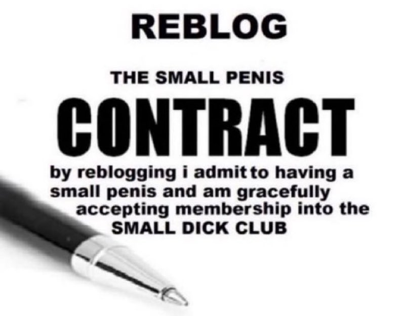 Goddess7333's tweet photo. Are you a sissy slut and you've wanted to be owned by a goddess?
📩 DM to sign the Mistress/Sissy slut contract 📝 https://t.co/bRZMERROXO