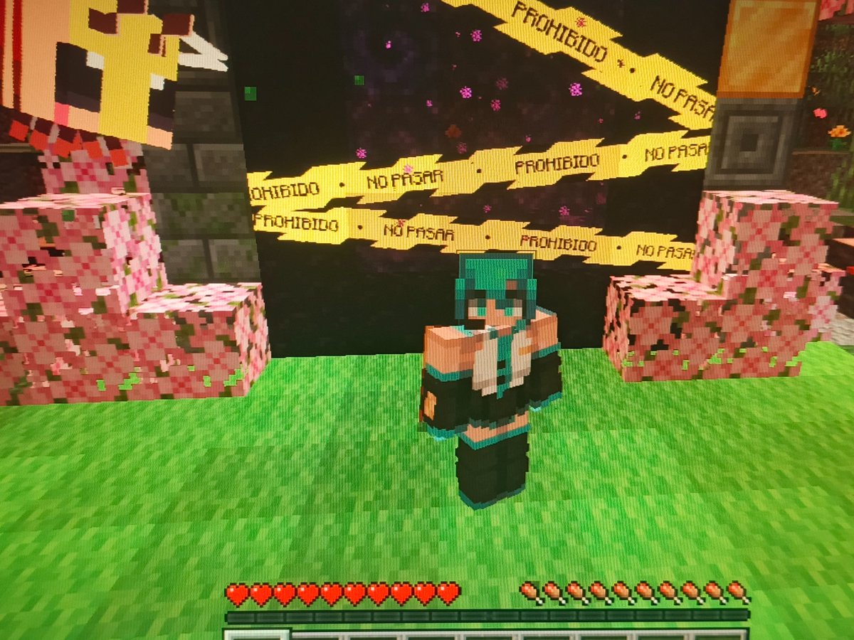 Alequeen9850's tweet photo. Yo con mi skin de Miku jajsjajsjjaja
#Minecraft_CG6 https://t.co/dCvle19mG5