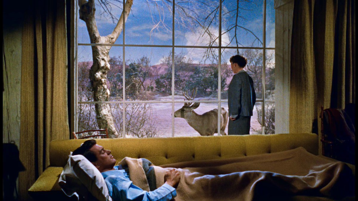 SAINTBERGMAN's tweet photo. i’m a big fan of the massive picture windows from all that heaven allows (1955) https://t.co/lDTejUEFDD