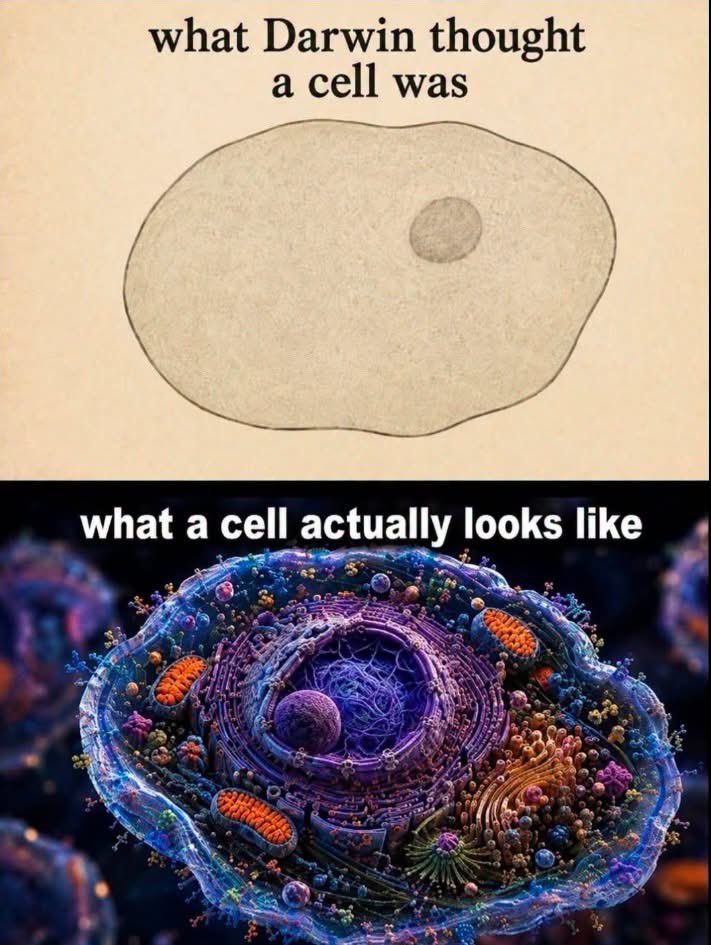 NotEvolution1's tweet photo. Scientific exploration takes us further from Darwinism https://t.co/oZynfI9FEf