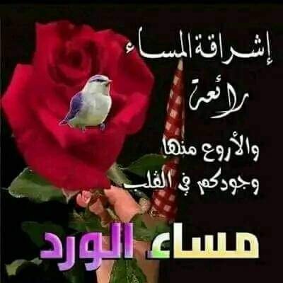 MsAlbny's tweet photo. @MarionMrmr https://t.co/YpMRcOvygT