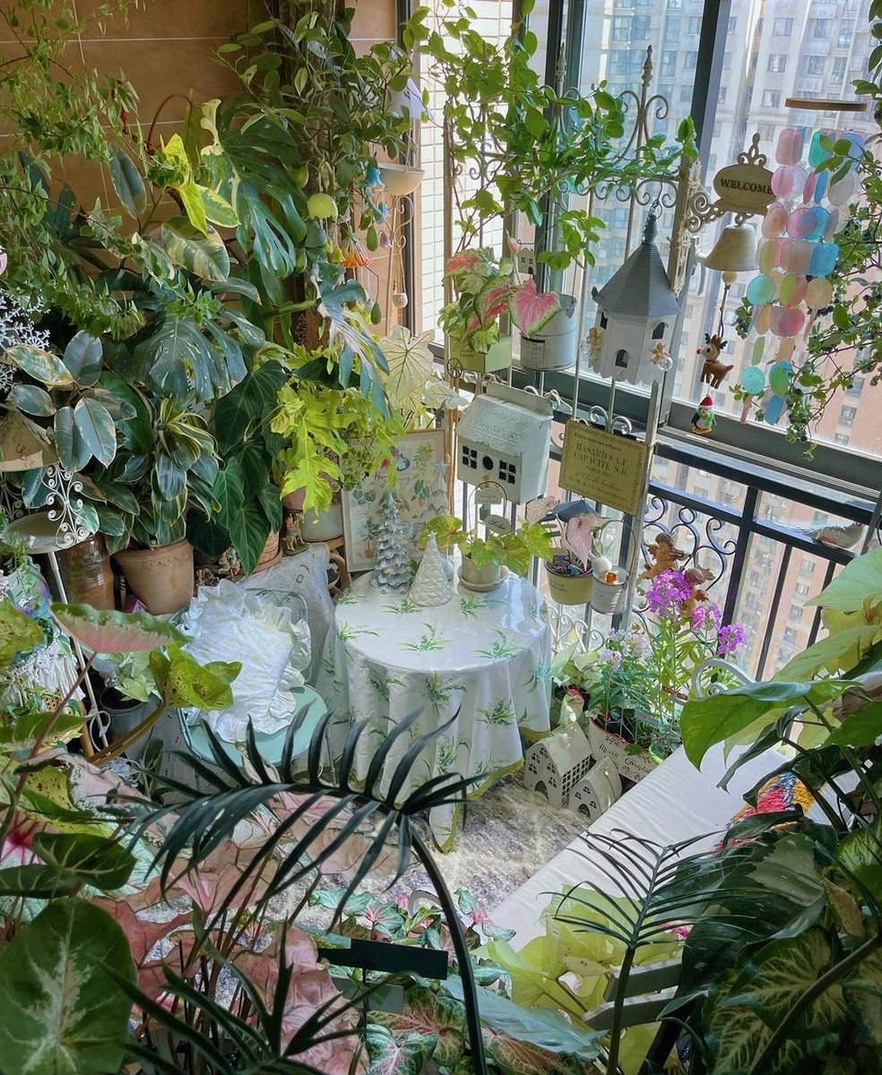 rockk095264's tweet photo. My tiny balcony is now a mini herb and flower garden —who said small spaces can’t bloom， https://t.co/qd0LjmtQkN
