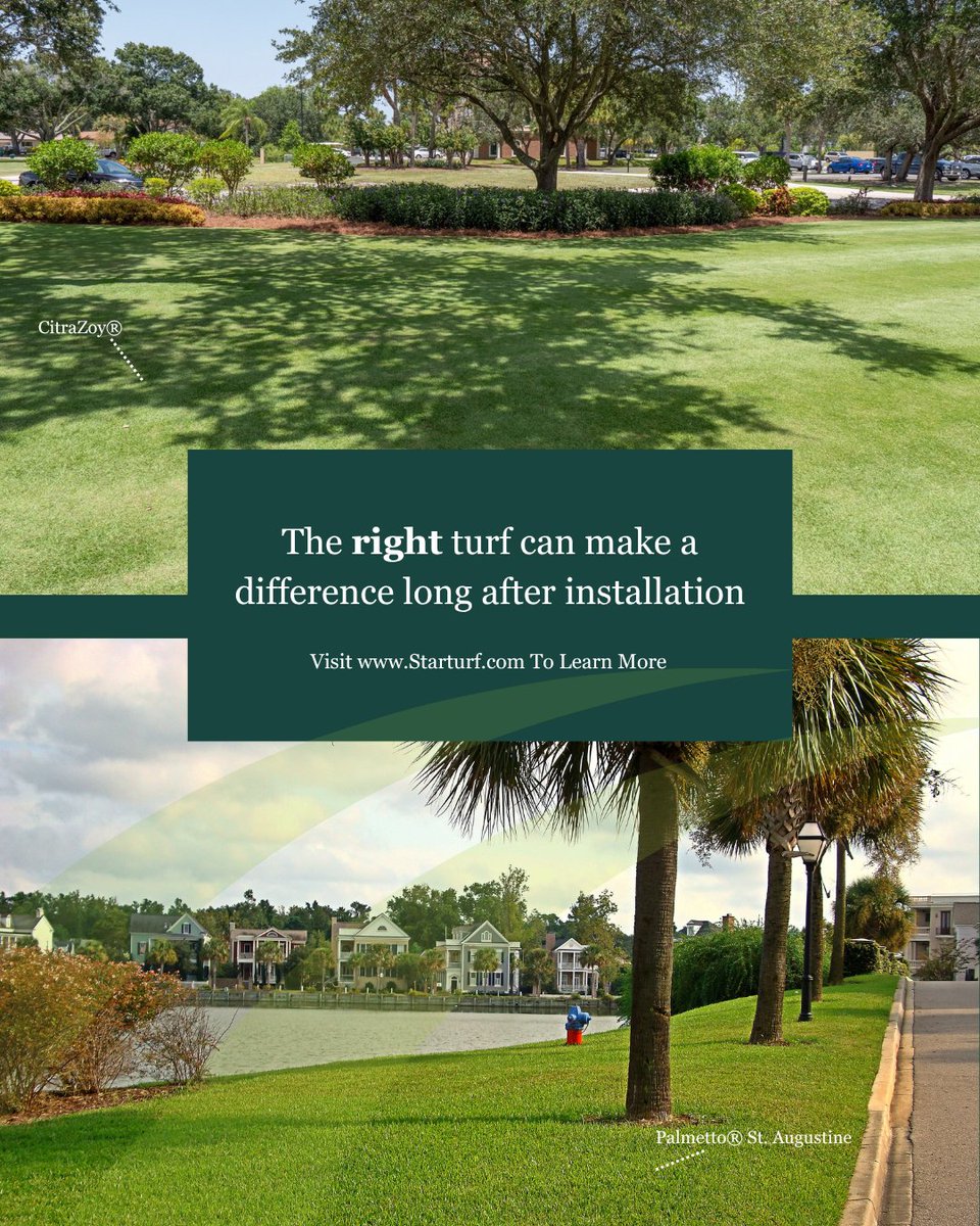StarTurf_Farms's tweet photo. For HOA communities, the right grass isn’t just about appearance.

Selecting the right variety before installation helps avoid unexpected maintenance challenges later.

A successful landscape starts with a plan. Learn more at https://t.co/Slqbp3sQV7. #StarTurf #KeepFloridaGreen https://t.co/N1MwjeLO3U