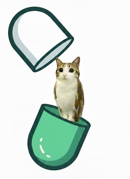 meowl_cto's tweet photo. @PumpfunEco @_Shadow36 https://t.co/sD4fc2Kwuq