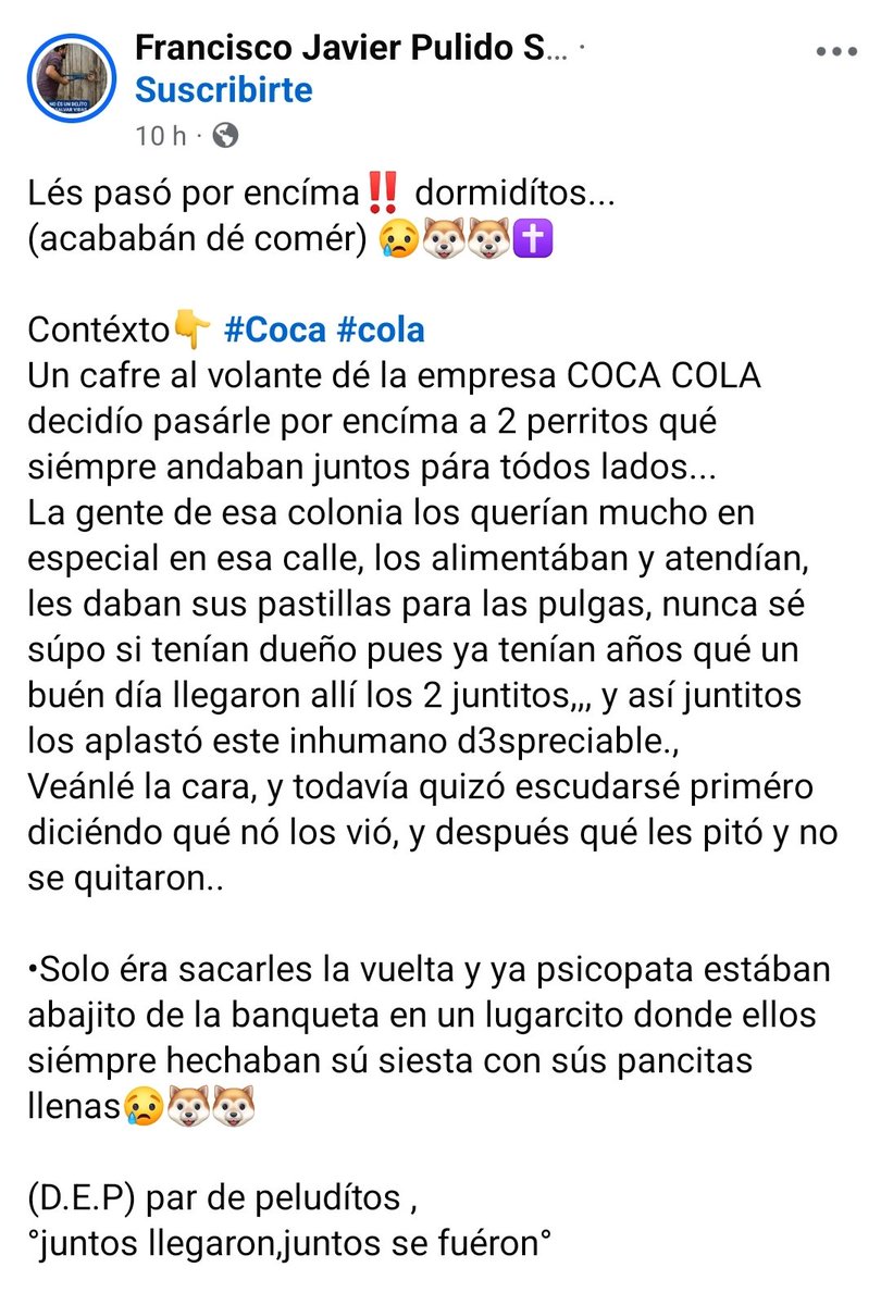 LicAnimalista's tweet photo. @FEMSA @CocaColaMx reportan este caso en Sinaloa al parecer en Mazatlán, chofer criminal. Atención @FiscaliaSinaloa #NoticiaCriminal exigimos justicia https://t.co/HqUwrwUvfG