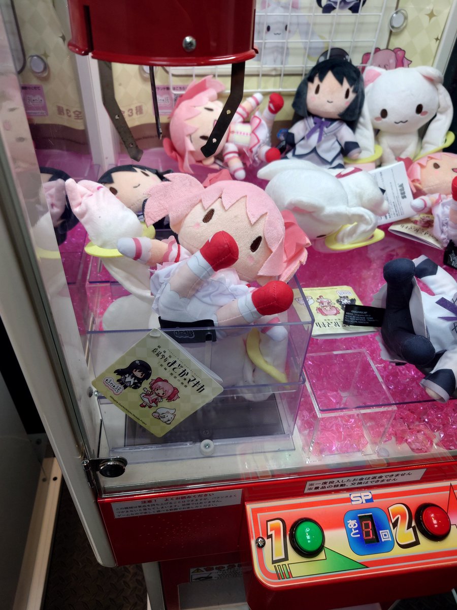 ✩はくちょる！✩⋆‎˚ on X: 
