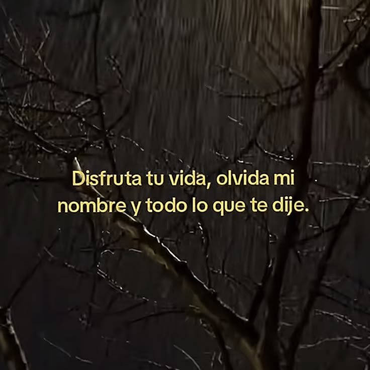 DeryaRamirez's tweet photo. https://t.co/v2wMJlKWk7