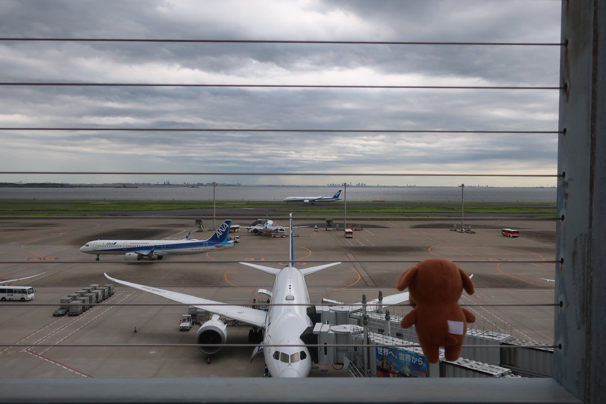 nknk6164's tweet photo. #ぬ犬 https://t.co/bzoizcATUo