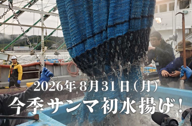 KesennumaWeb's tweet photo. 【祝🎉本日サンマ初水揚げ！】
気仙沼に今季初のサンマがやってきました！
気温もぐっと涼しくなり、サンマの水揚げのお知らせによって、気仙沼は一気に秋の気配です。
▼初水揚げのようすはこちらから
https://t.co/PgGDqo4JLG https://t.co/DRhWsxhD88