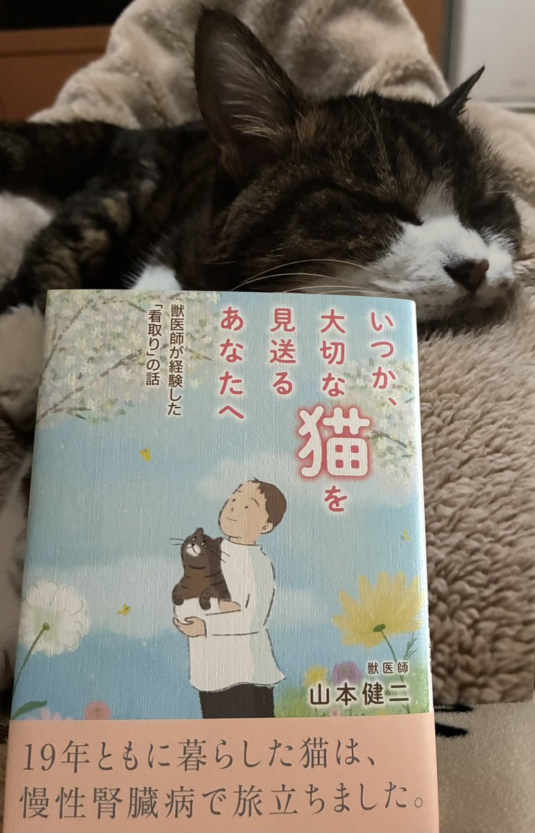 kohtohbu's tweet photo. 表紙だけで涙腺が…😭

大切に読ませて頂きます📕😼

#ヤマケン先生　#いつか大切な猫を見送るあなたへ https://t.co/WNDb6ObZYP