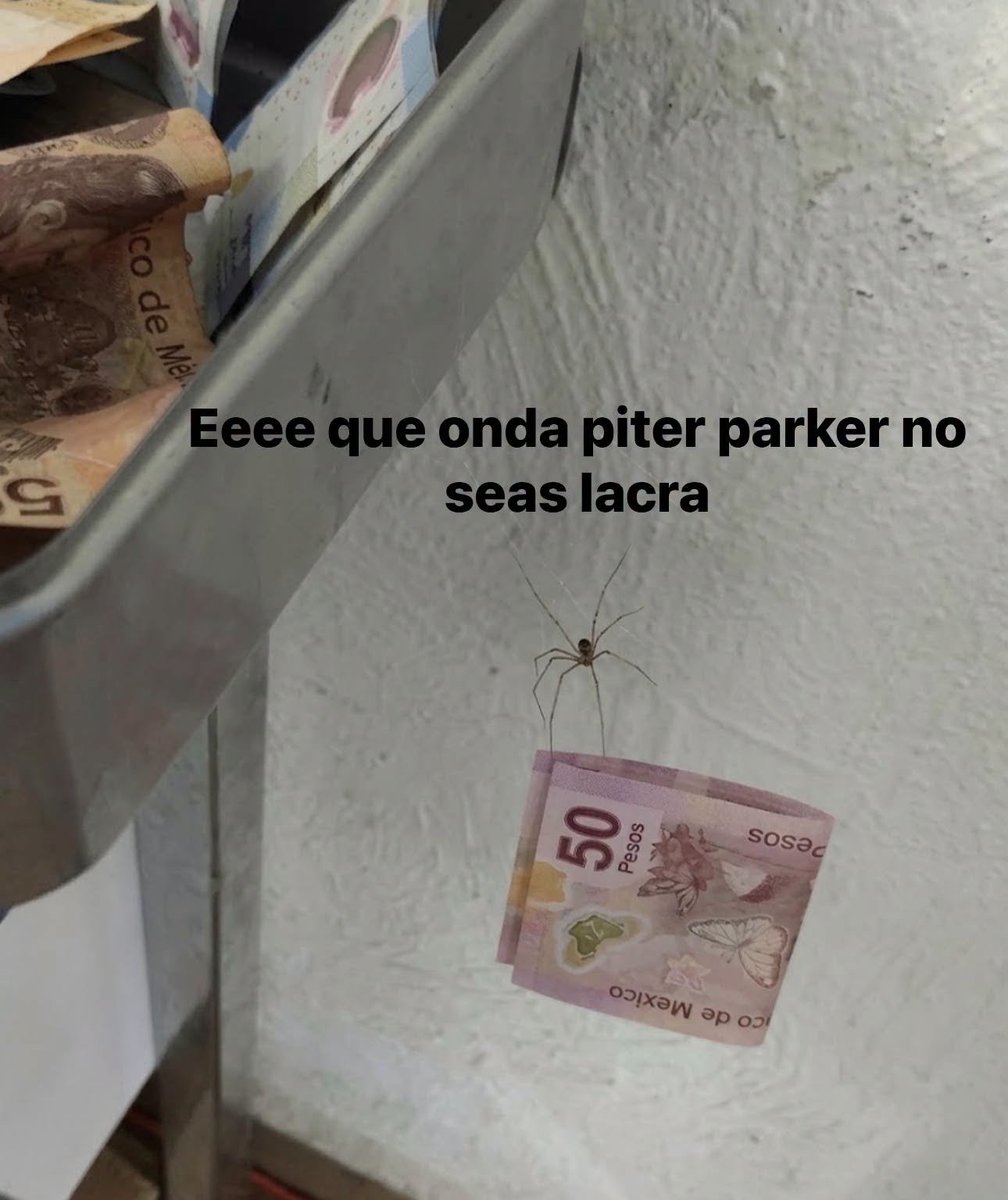 MexicoMagico tweet picture
