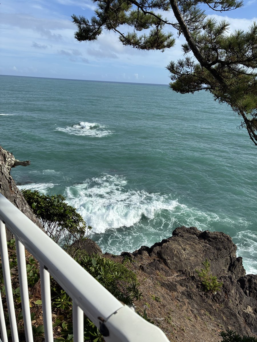 10ten1725's tweet photo. 高知県に初上陸してきました。こんな自然豊かな、また海岸には岩がたくさんある場所から世界を見て、目指して日本を動かそうとしたなんてほんと人してのスケールの大きさを感じていました。

高知めっちゃ移動したー。 https://t.co/w6slrIblPe