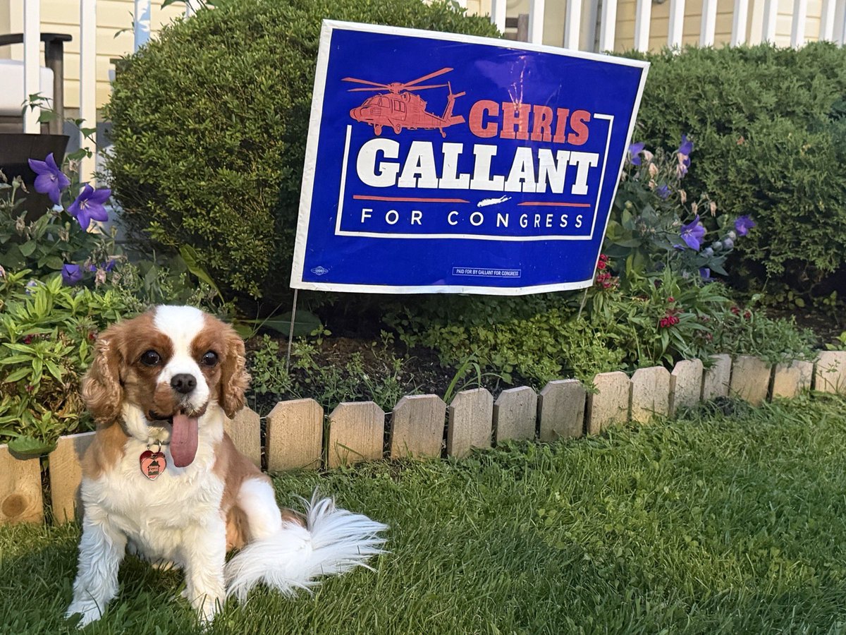 _gallantny's tweet photo. Lawn signs are IN! 🪧

Show your support for Chris Gallant and help us build momentum across NY-01. Join our field team & get a lawn sign to help us reach voters in every corner of the district.

Every door. Every neighborhood. Every community matters.

🪧 Get a lawn sign
🚪 Join us canvassing
📞 Make calls
🙌 Be part of Team Gallant

Early voting is getting closer, and Election Day will be here before we know it. Let’s get to work!

Sign up here https://t.co/uqDEbe4K3X

#congress #ny01 #vote #election #suffolkcountyny