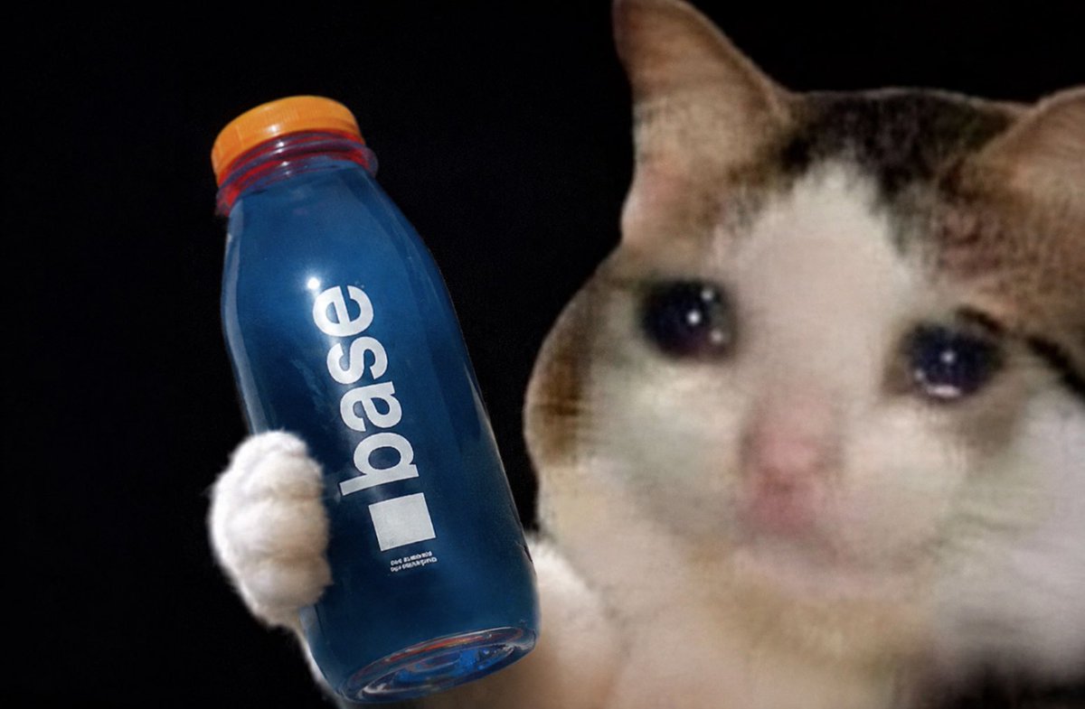 Z3R0W4's tweet photo. @KeyboardCatBase wake up buddy, it’s time🧃 https://t.co/Dw5eHMY0w6