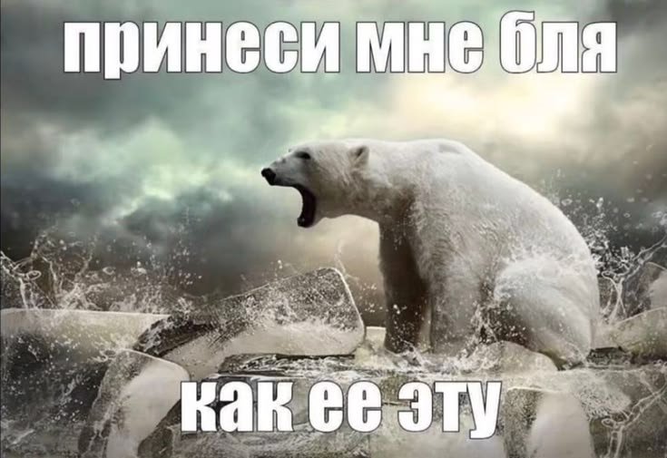 keshkore's tweet photo. я хочу попробовать Асаи сук..его можно попробовать где то в Краснодаре,кто шарит? https://t.co/90vDv9M6dj