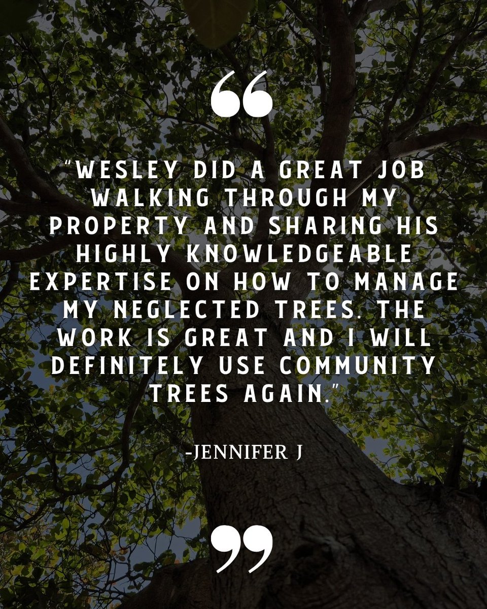 CommTreeServ's tweet photo. “Highly knowledgeable expertise" yeah, that sounds like our Wesley! 😎⭐️⭐️⭐️⭐️⭐️

If your trees have been flying under the radar and need some professional eyes on them, give us a shout.

📞Contact us today! (831) 763-2391

#communitytreeservice #customerreviews #treeservice https://t.co/gpxq39K1X7