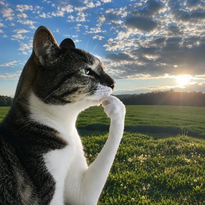 GainzMaxing's tweet photo. thinking-cat:native 

Thinking about how violent the next leg up will be. https://t.co/QZijHc7YQJ